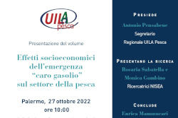 Effetto socioeconomici dell'emergenza caro gasolio sul settore della pesca